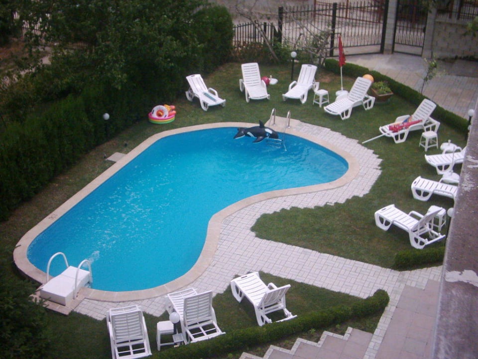 Poolanlage Hotel Villa Albatros