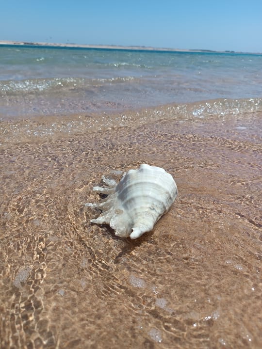 Strand Steigenberger Resort Ras Soma