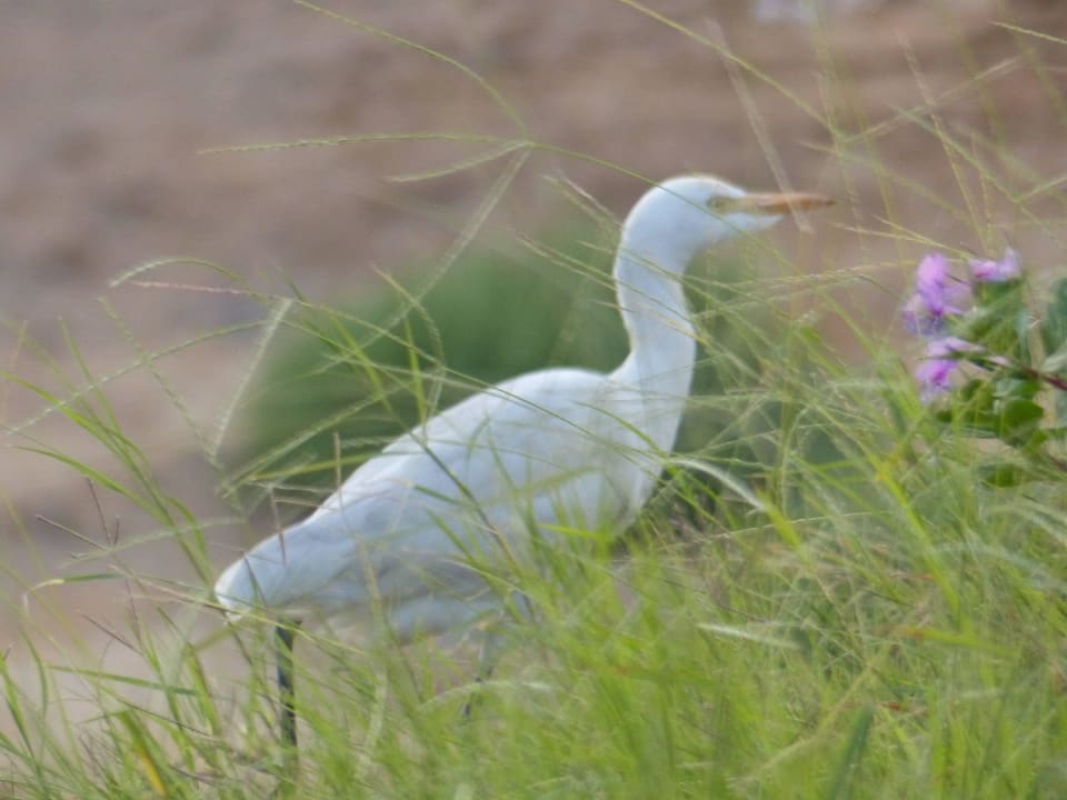 Vogel Three Corners Equinox Beach Resort