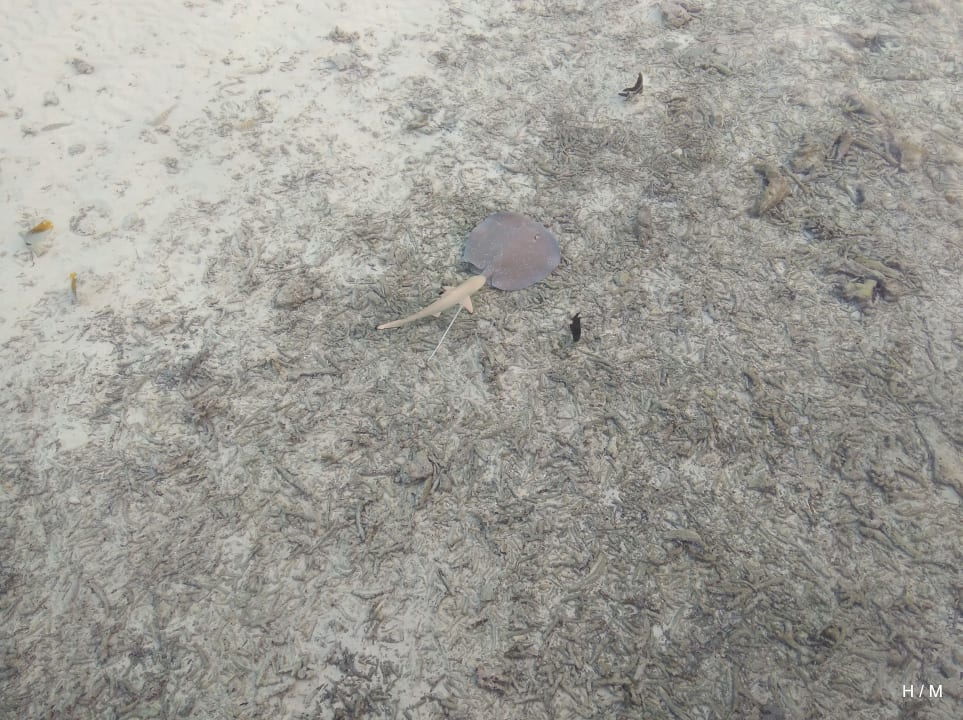 Sonstiges Embudu Village