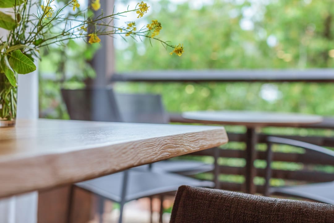 Zimmer Ferienwohnungen Hirschen Horn | Boardinghouse Bodensee