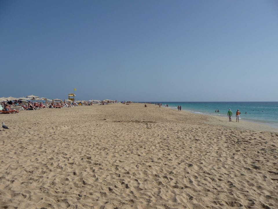 Strand von Alameda Servatur Alameda de Jandía