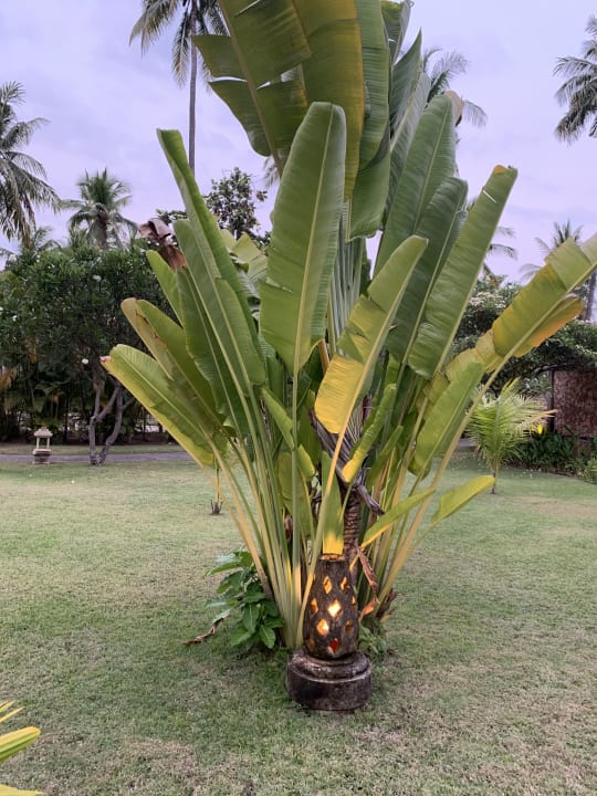 Gartenanlage Hotel The Oberoi Lombok
