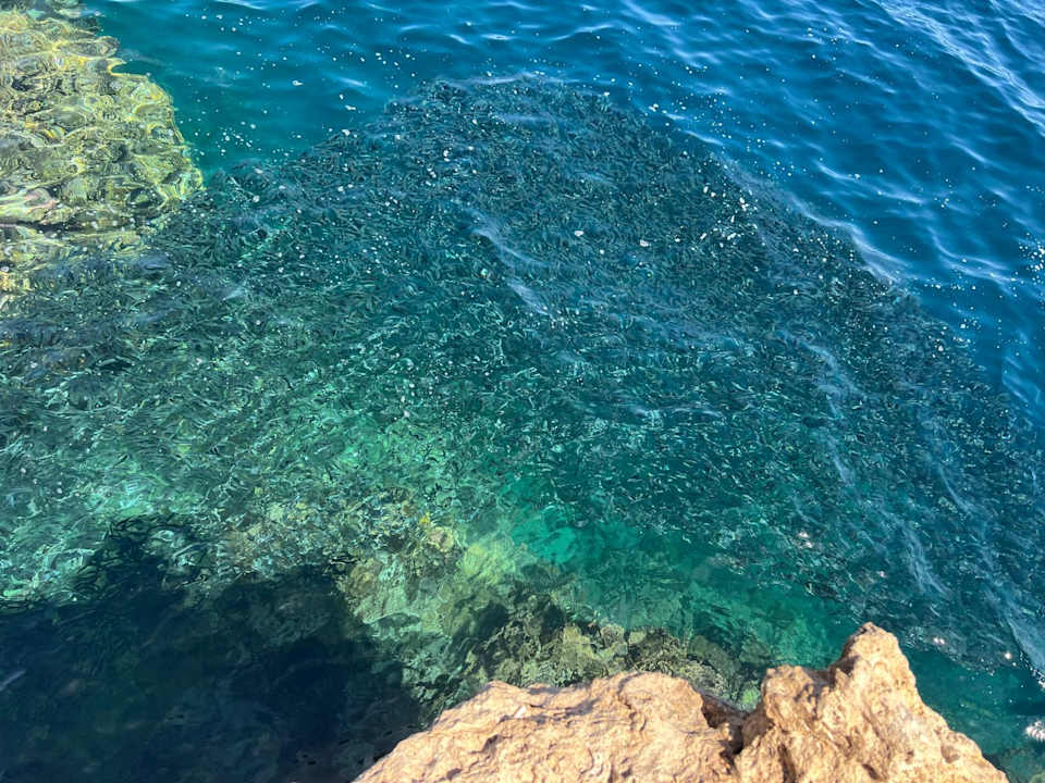 Ausblick Stella Beach Resort & Spa Makadi Bay