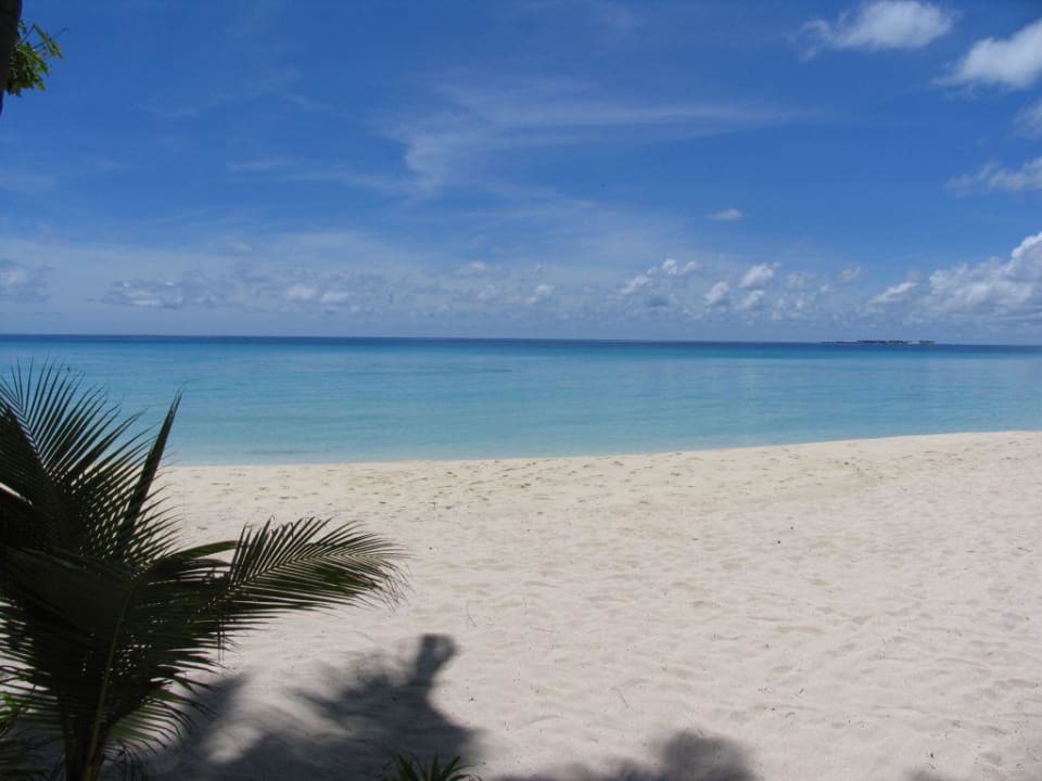 Der Strand am Pool Kuramathi Maldives