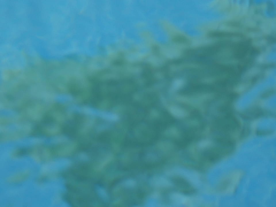 Fehlende Pollteile Cleopatra Luxury Resort Makadi Bay