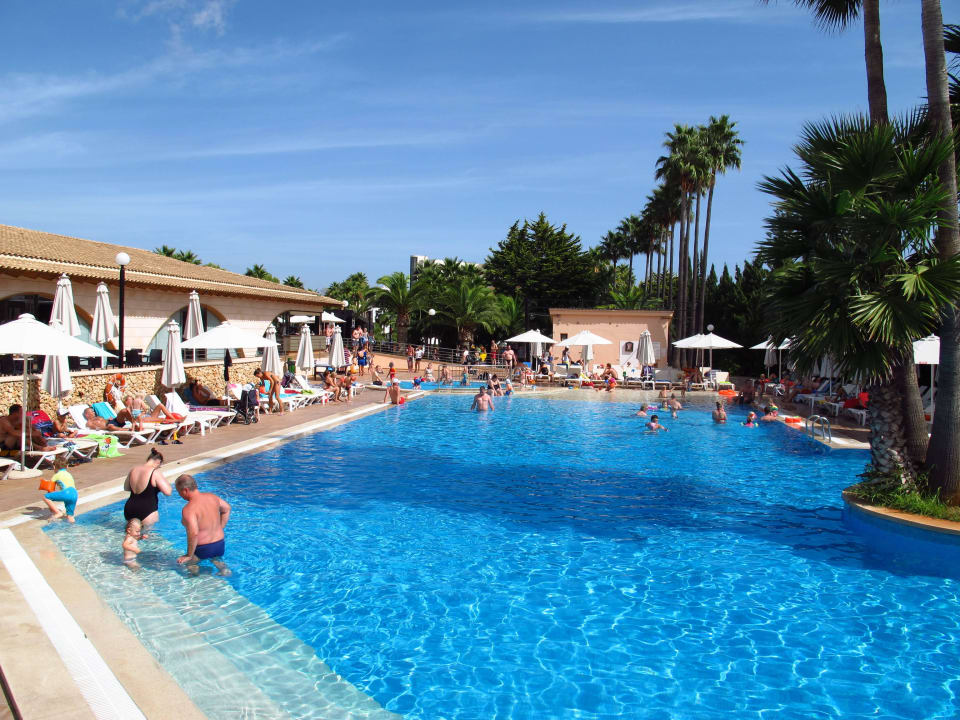 Hauptpool Hipotels Mediterraneo Club