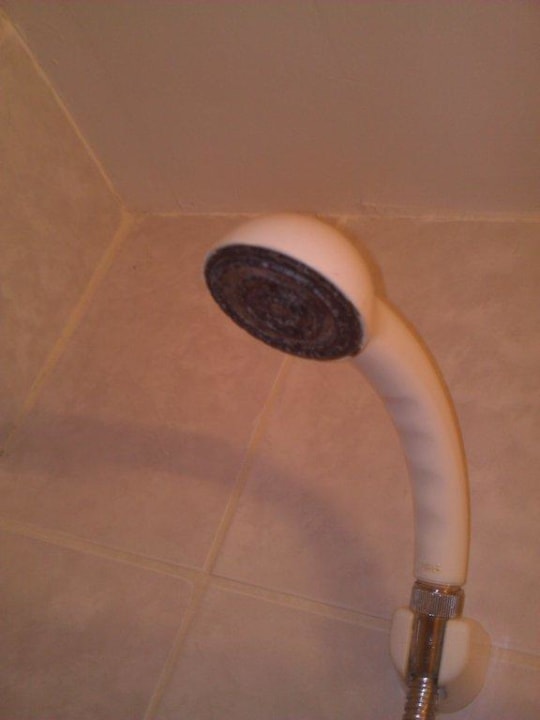 Unzumutbarer Duschkopf Hotel Climent