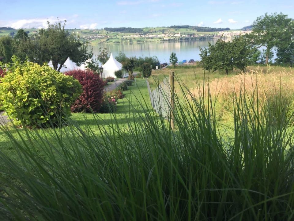 Ausblick Sonne Seehotel