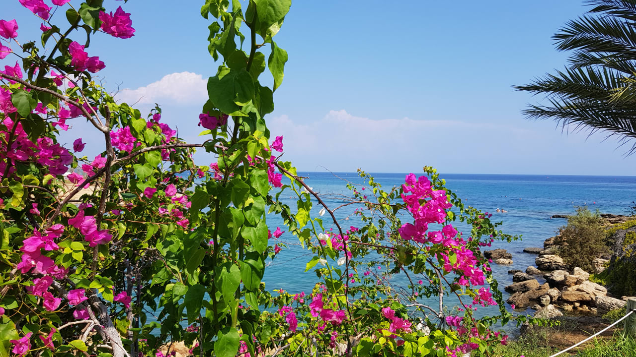Ausblick Crystal Springs Beach Hotel