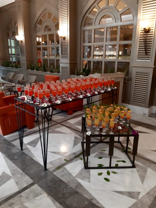 Gastro Balmy Foresta