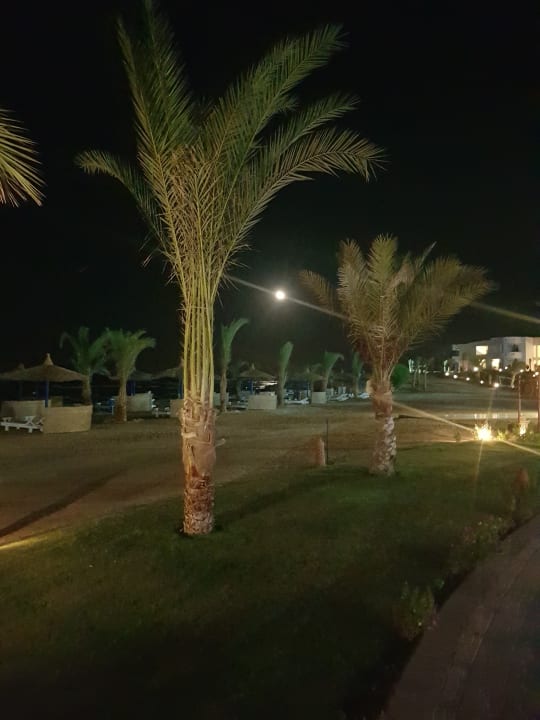 Gartenanlage Coral Sun Beach