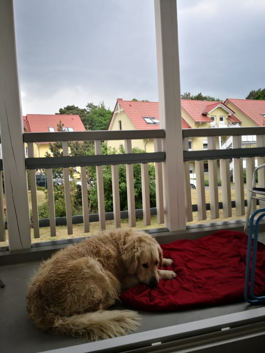 Sonstiges Vineta Ferienresidenz Usedom