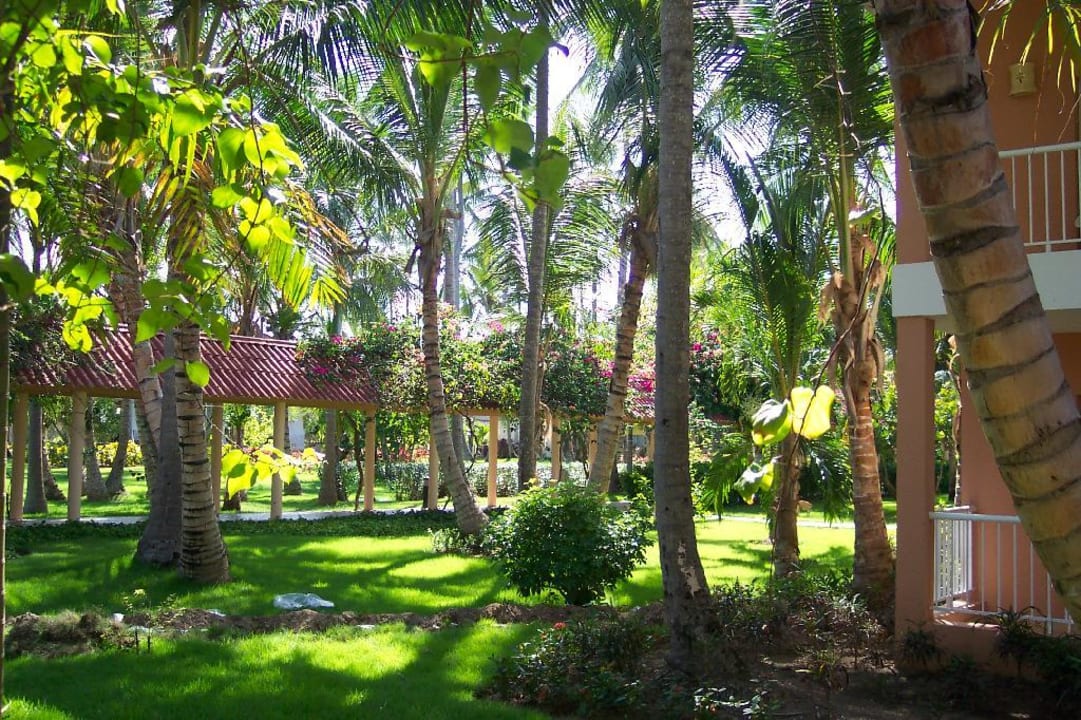 Gartenanlage Hotel Grand Palladium Palace Resort, Spa & Casino