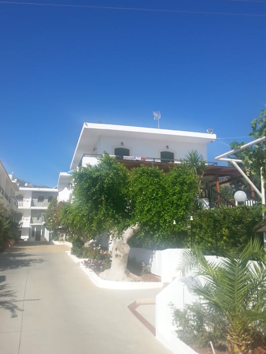 Außenansicht Hotel Paloma Garden