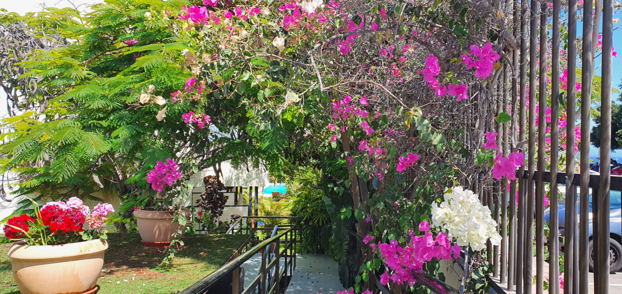 Gartenanlage Nogal Appartements - Adults only