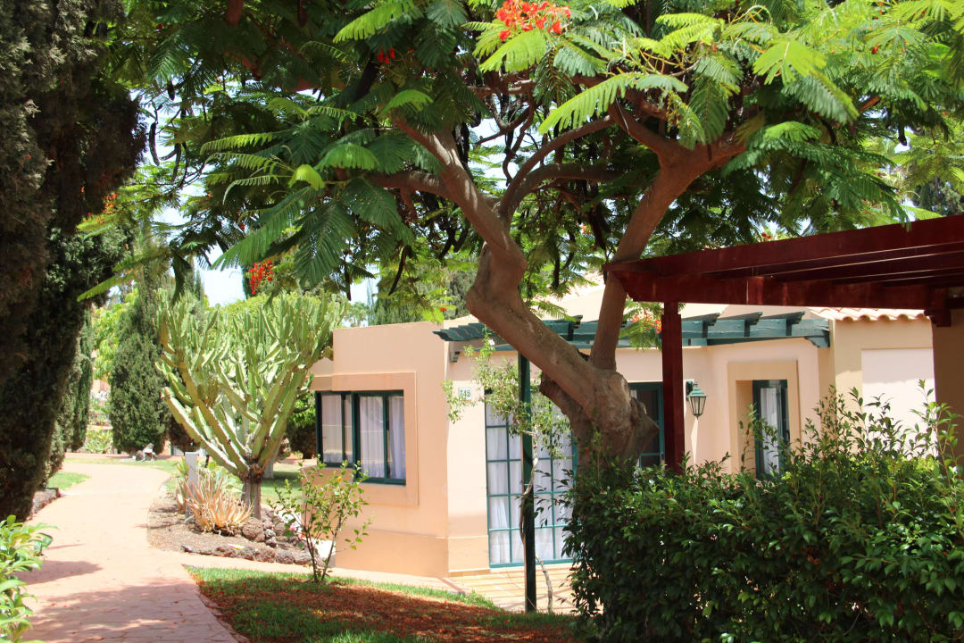 Garten allsun Hotel Esplendido