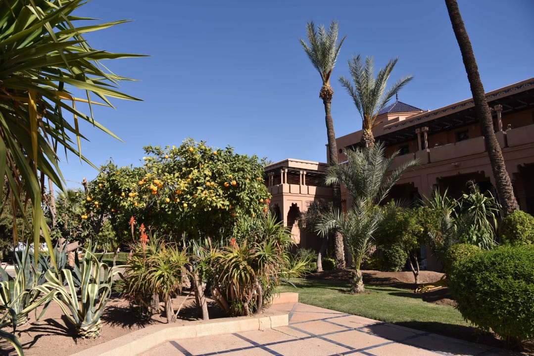 Gartenanlage  Hotel Riu Tikida Garden - Adults Only