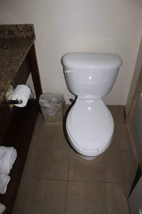 Bad Hotel Holiday Inn Express Fort Myers West - The Forum