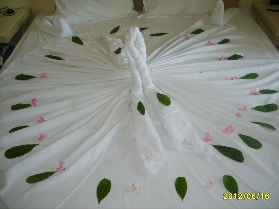 Schwan  Club Resort Atlantis