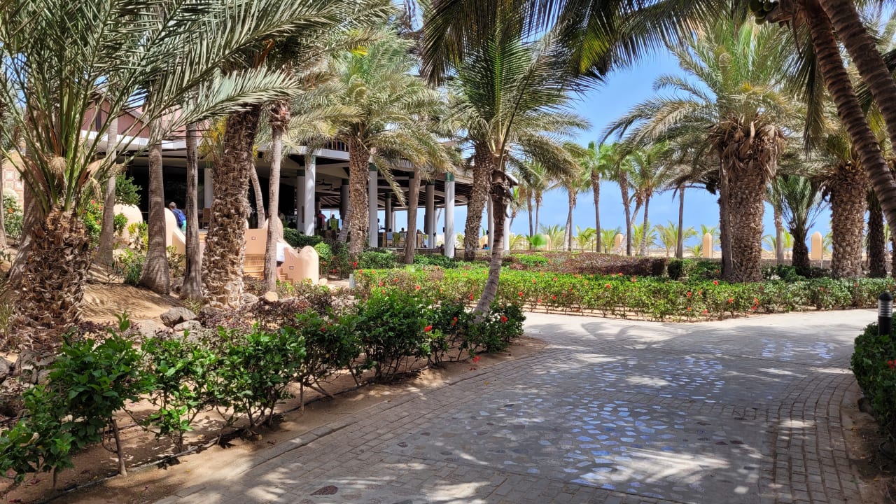 Gartenanlage Hotel Riu Cabo Verde