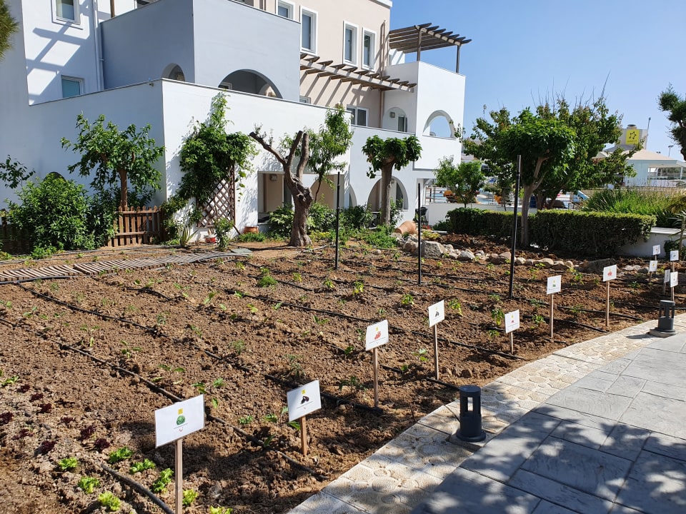 Gartenanlage Atlantica Marmari Palace