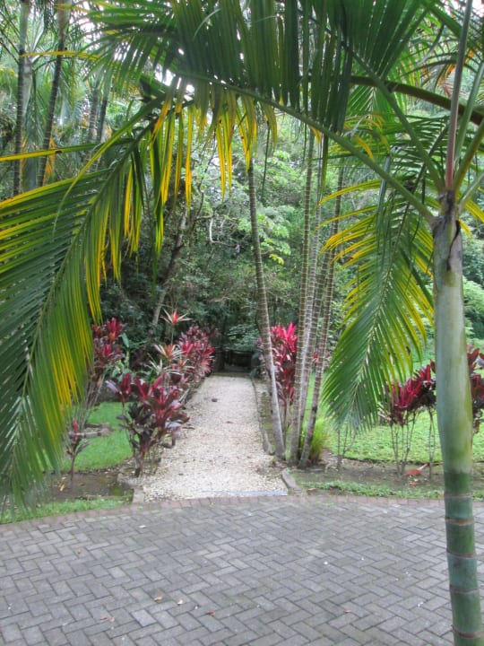 Garten Borinquen Mountain Resort & Spa