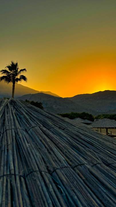 Ausblick Delfina Tropic Beach