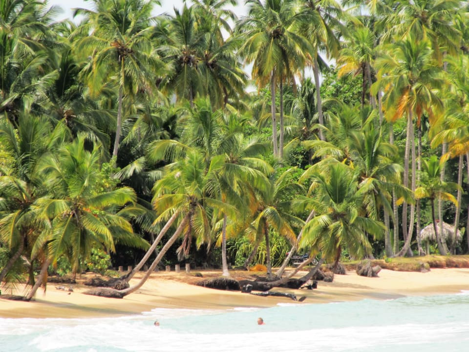 Strand Viva V Samana by Wyndham – Adults Only