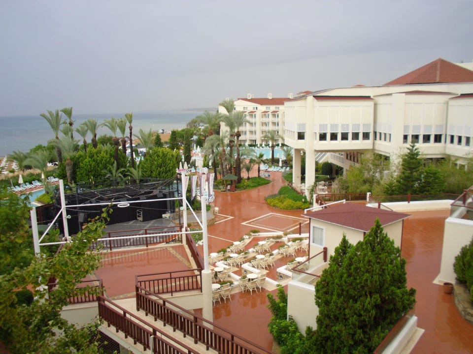 Vom Zommer aus PALOMA Perissia