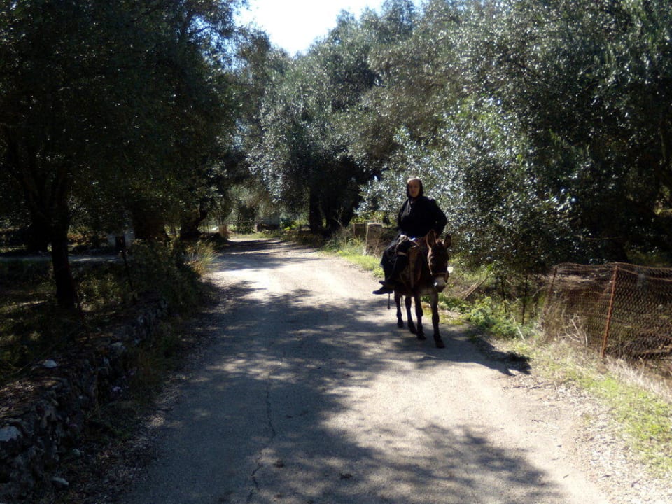 Liapades Olivenhain Hotel Arias