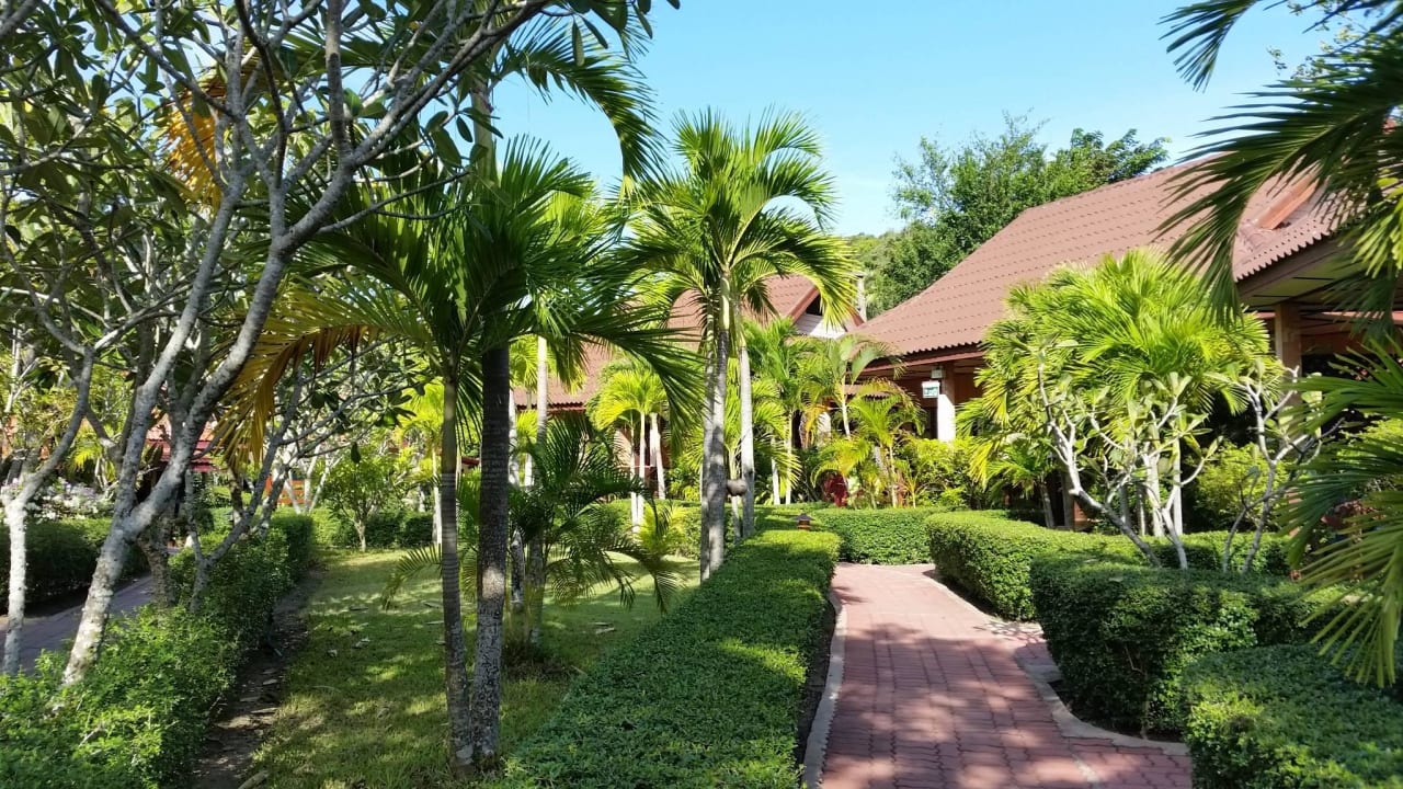 Garten zur Lobby Pinnacle Samui Resort