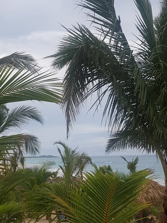 Strand Hotel Riu Republica - Adults only