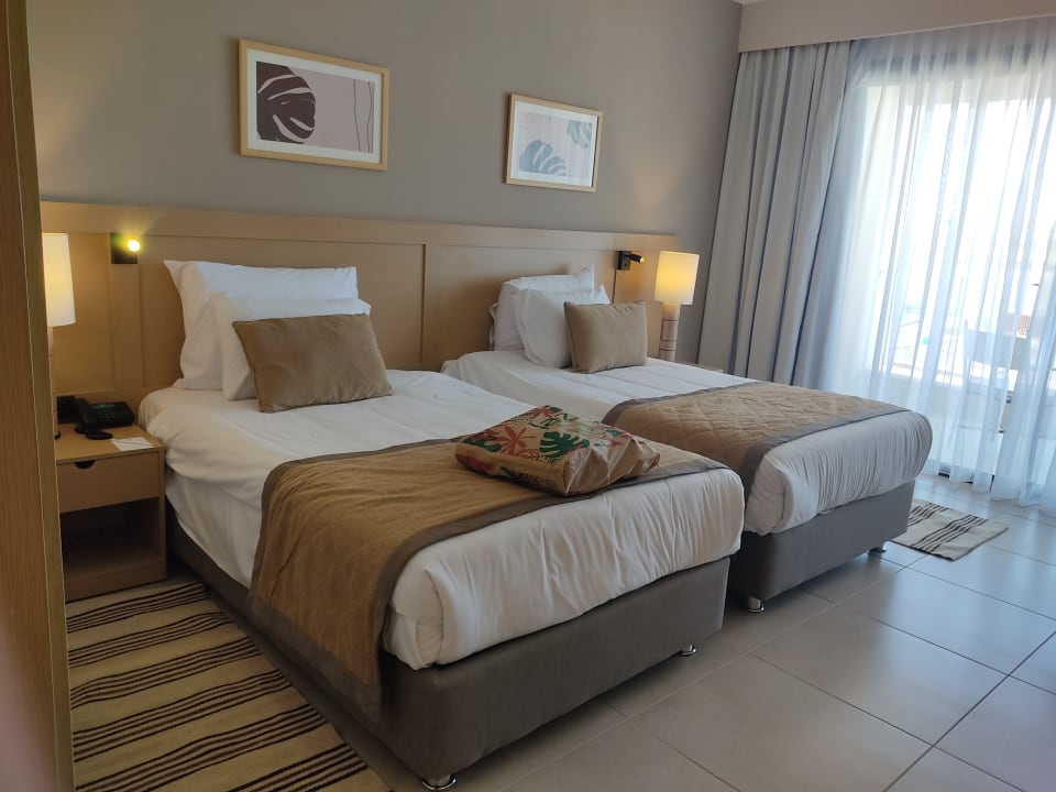 Zimmer JAZ Elite Amara