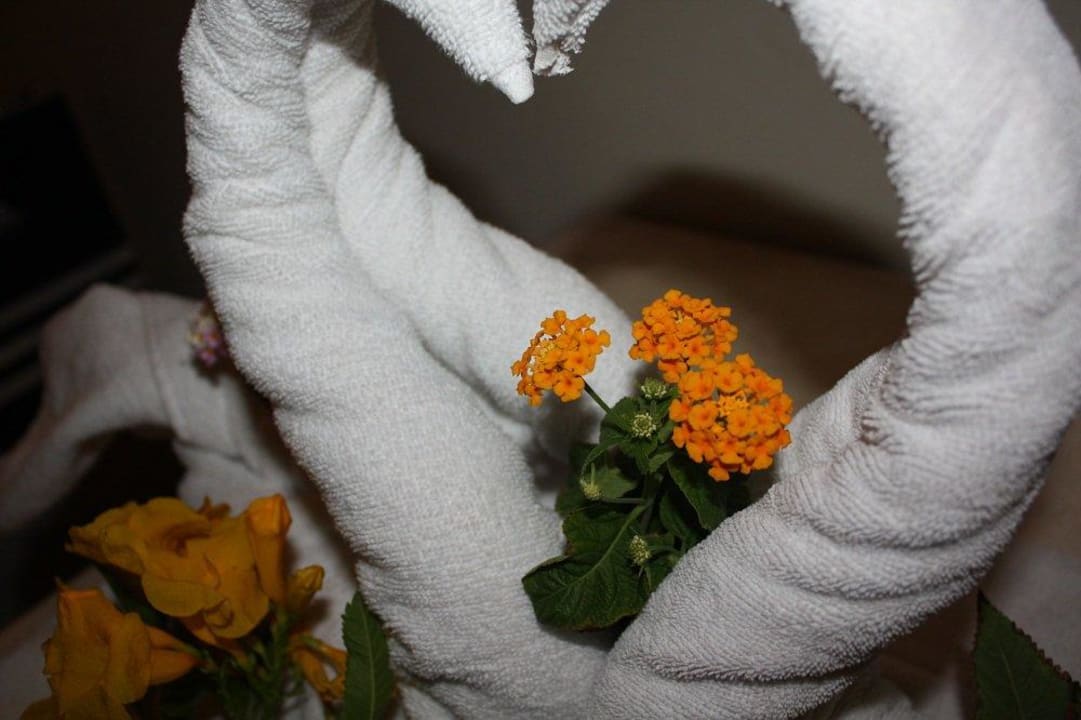 Hübsch nicht wahr? Pickalbatros Alf Leila Wa Leila Resort - Neverland Hurghada