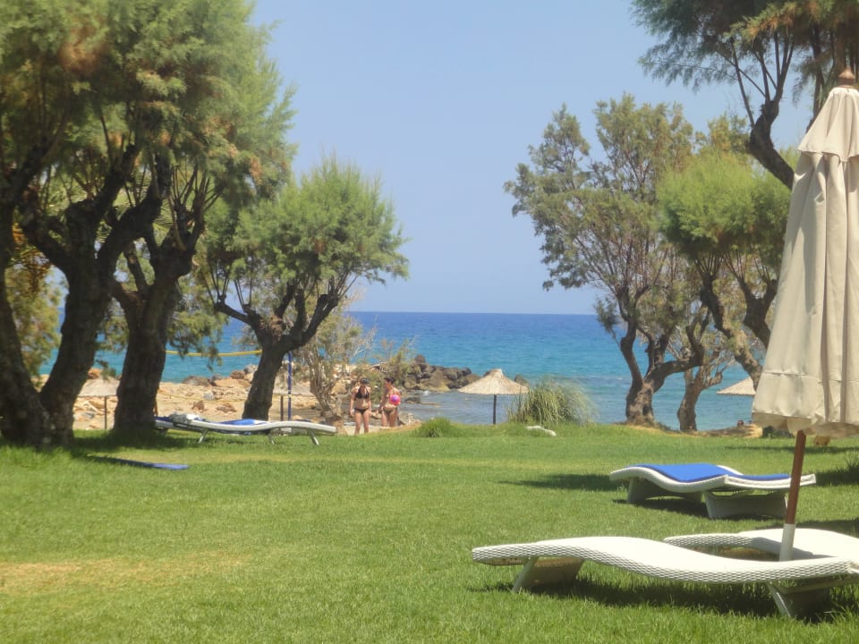 Garten Phãea Cretan Malia