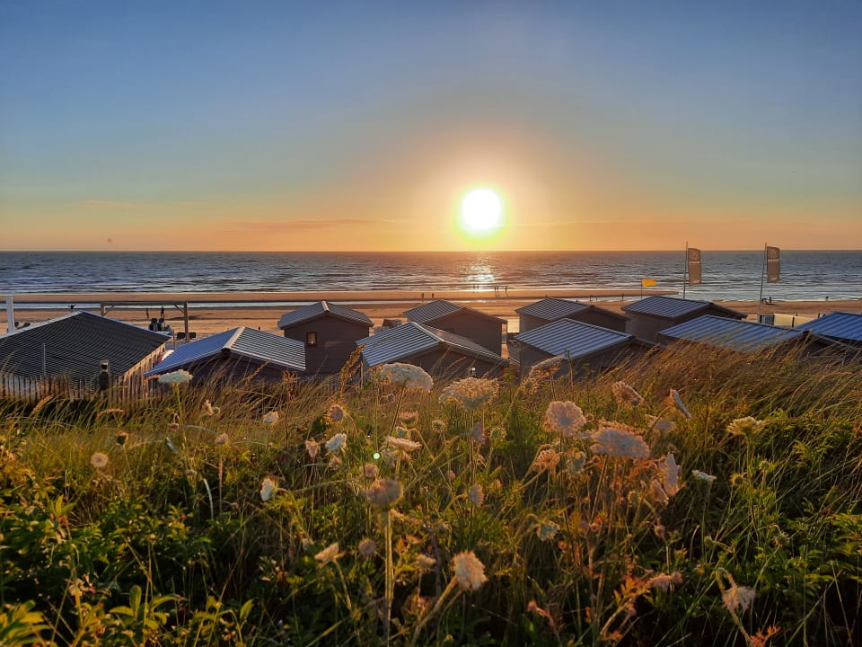 Strand Center Parcs Park Zandvoort - Ferienhäuser