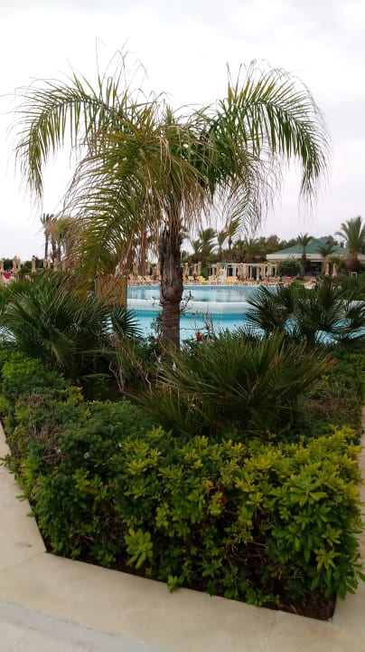 Gartenanlage Iberostar Selection Royal El Mansour