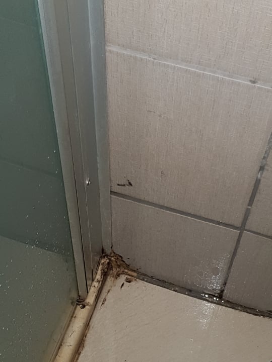 Zimmer Kamelya Aishen Club