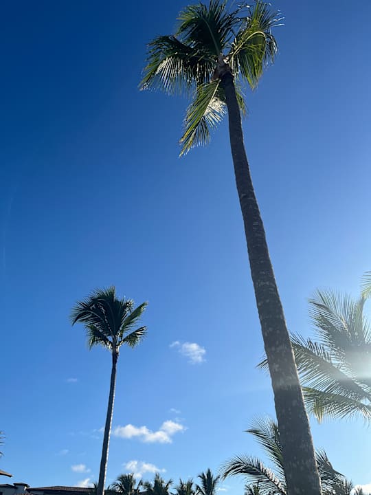 Strand Lopesan Costa Bávaro Resort, Spa & Casino