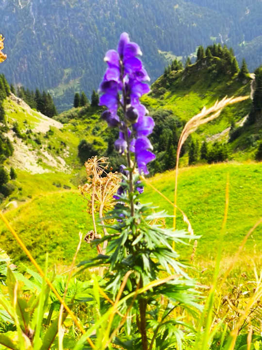 Ausblick Hotel Tradizio