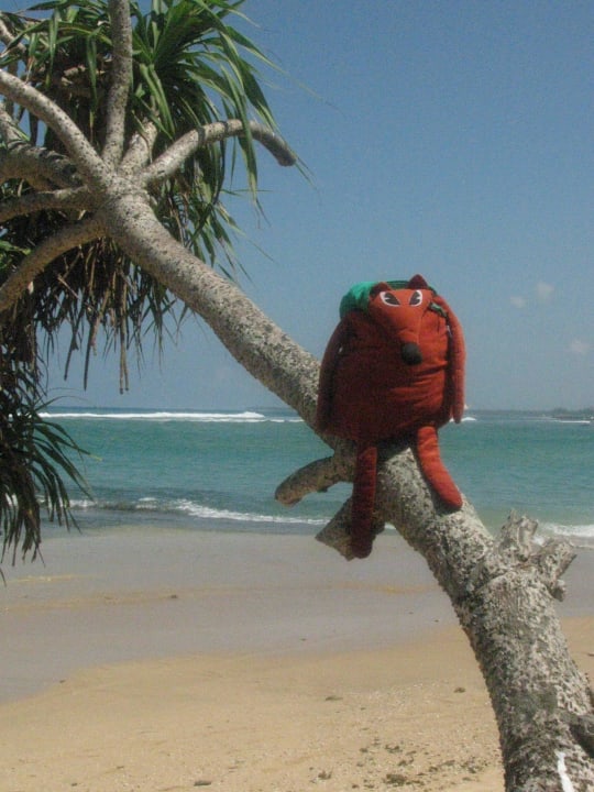 Лагуна Hotel Lanka Supercorals