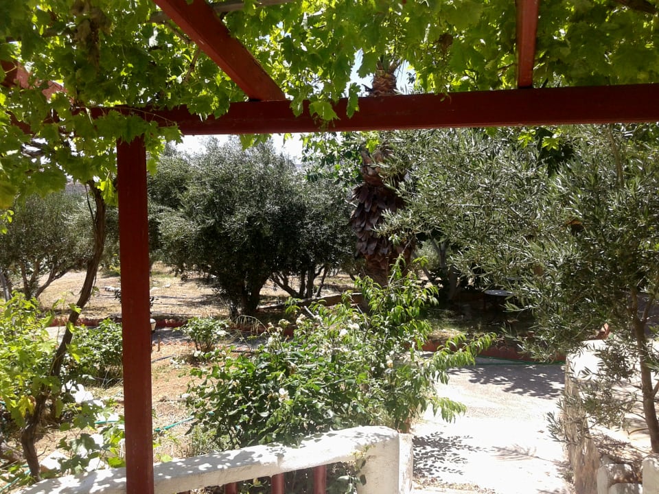 Gartenanlage Apartments Sunrise