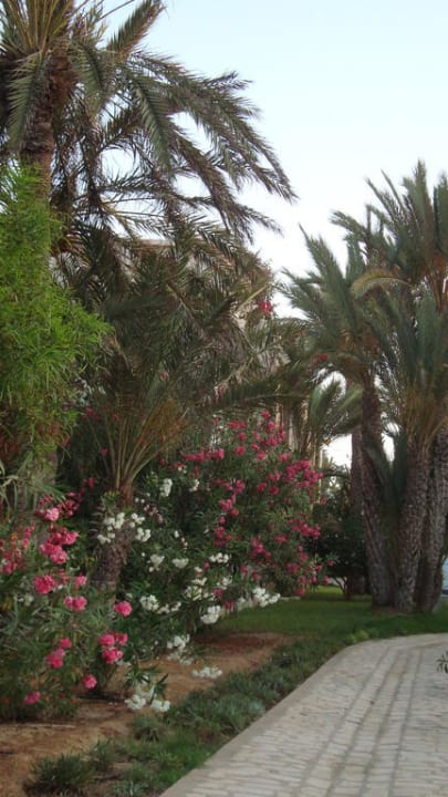 Weg zum Strand Zita Beach Resort