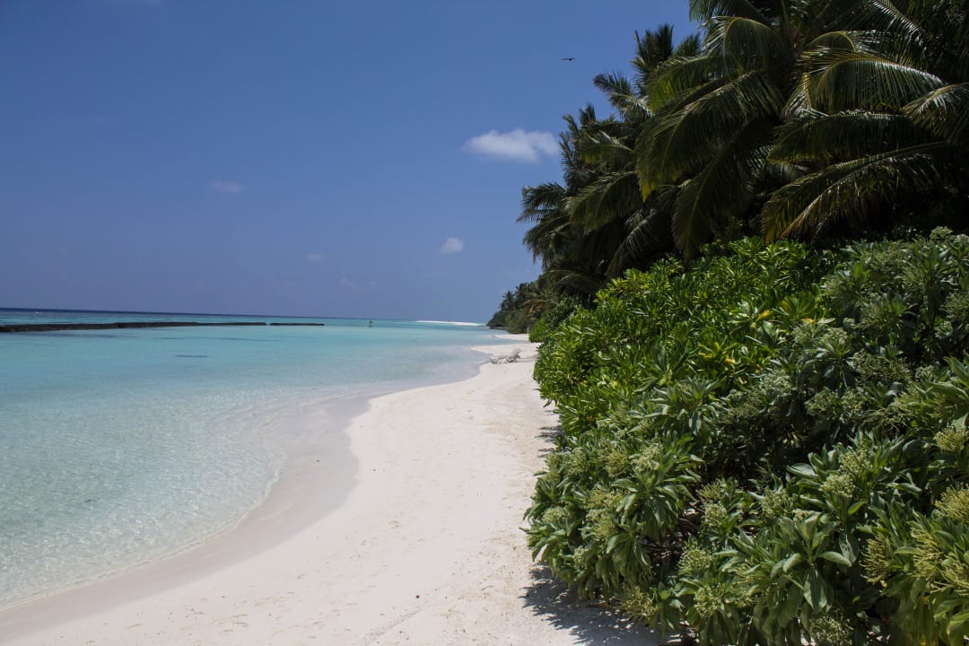Perfekt  Kuramathi Maldives