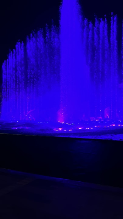 Sonstiges Atlantis The Royal