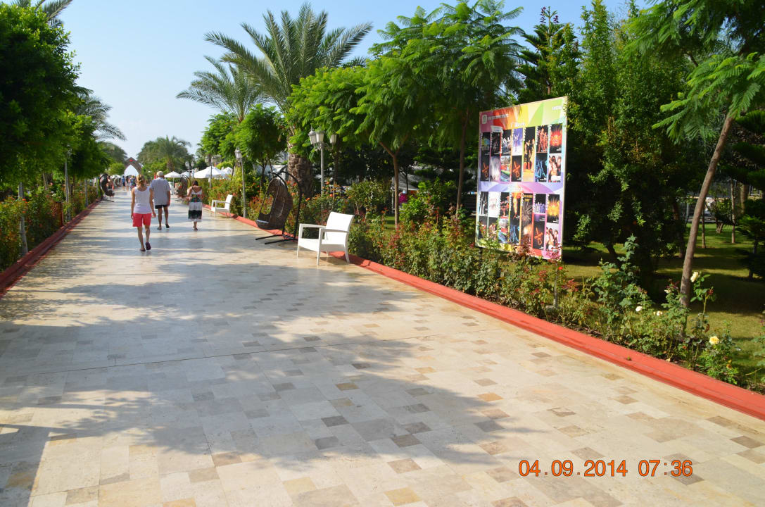 Pool Hotel Delphin Imperial