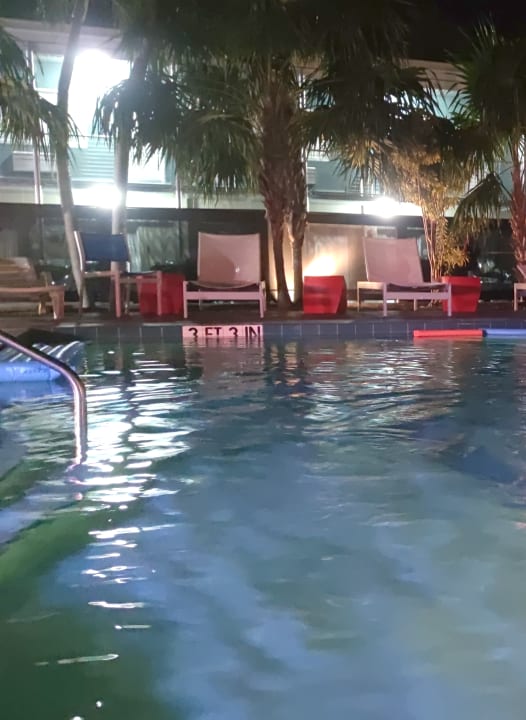 Pool Motel Blue Marlin