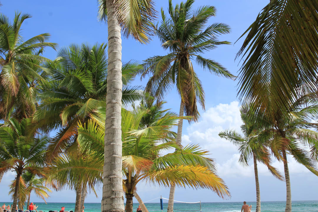 Strand Hotel Viva Dominicus Palace by Wyndham-All Inclusive Resort