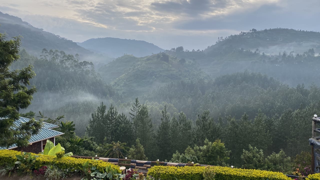 Ausblick Rushaga Gorilla Lodge